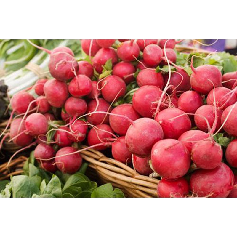 (Gói 100 Hạt)Hạt GiốngCủ Cải Ruột Hồng  F1 Loại dễ trồng kháng sâu bệnh năng suất cao