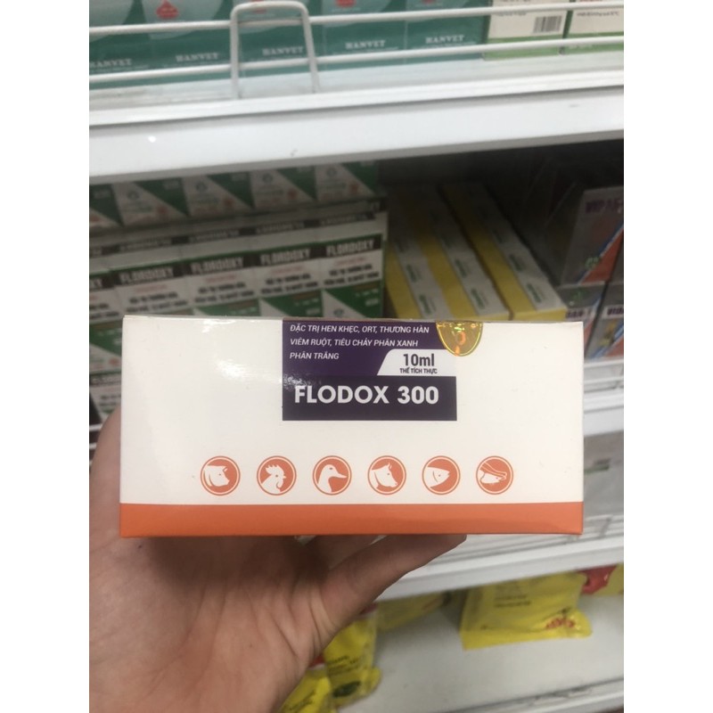 Nhỏ rù gà, phân xanh phân trắng, viêm xoang mũi cho gà trọi FLODOX 300