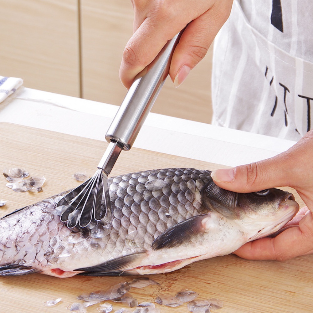 Dụng cụ nạo dừa đánh vảy cá đa năng chất liệu Inox