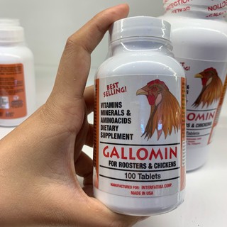 Combo thuốc nuôi gà đá Gallomin và B15B12 giúp tăng po lên nước máu, giữ bo không mất bến tới phút 90