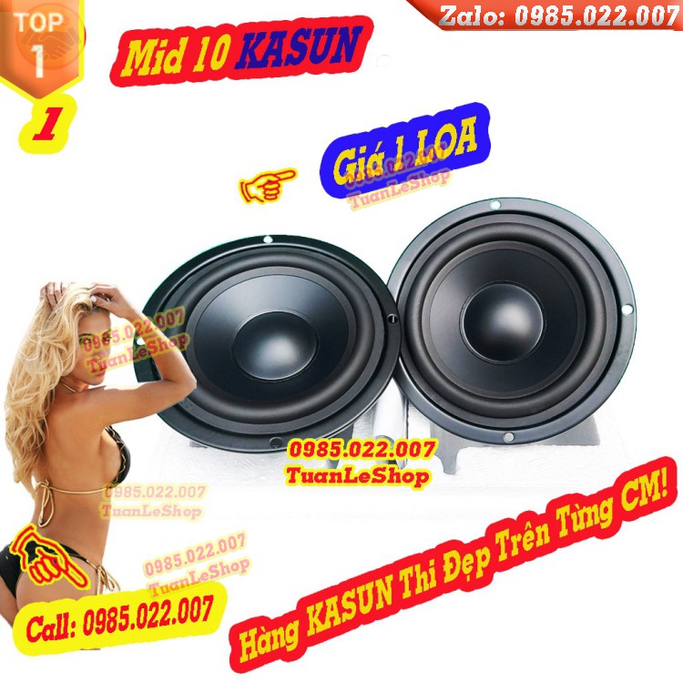 LOA TRUNG 10 KASUN NHẬP KHẨU E4019 - GIÁ 1 LOA