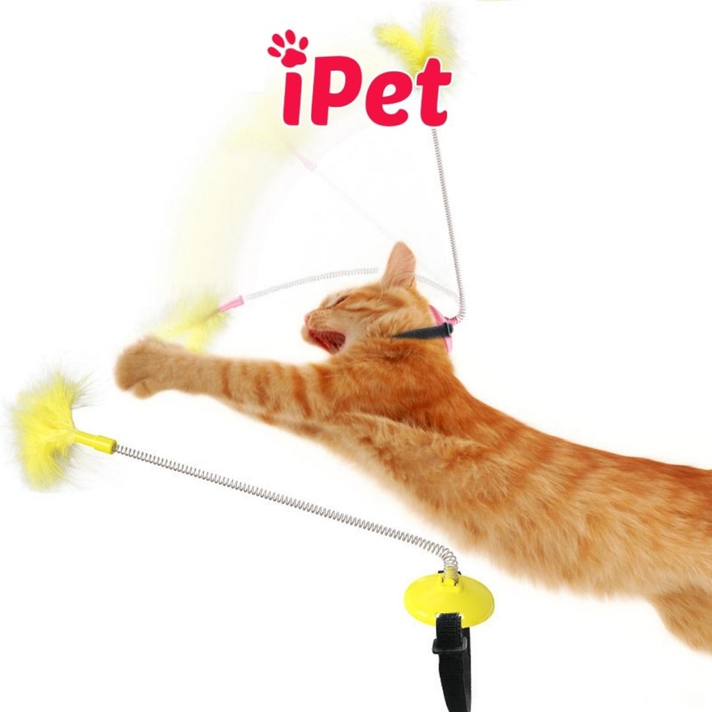 Đồ chơi lông vũ lò xo gắn đầu cho mèo vờn - iPet Shop