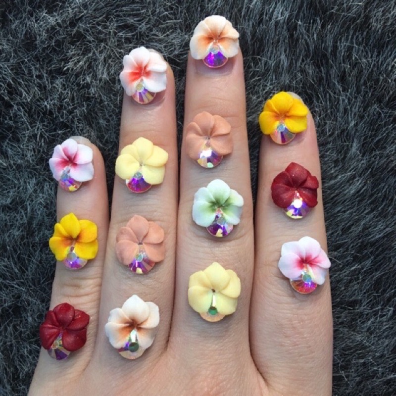 Hoa bột -tay chân ôm đá