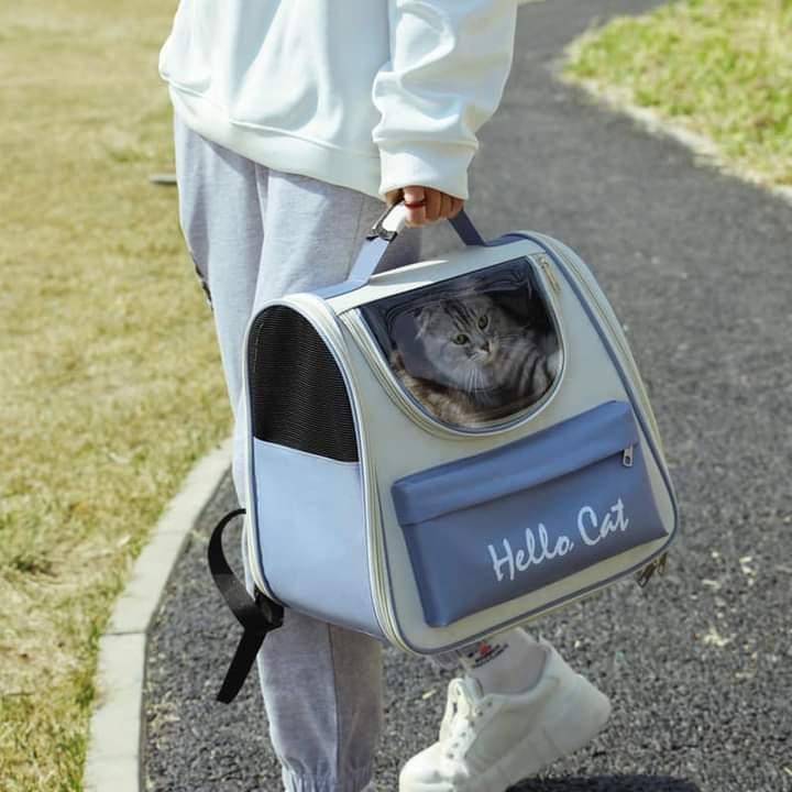 Balo vận chuyển chó mèo Hello Cat/Mika Pet