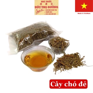 Cây chó đẻ - cây Diệp hạ châu - phơi khô 1 kg