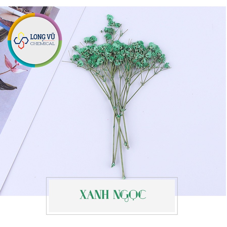 Set Hoa Sao Khô 7 Màu - Nguyên Liệu Dùng Làm Trang Trí- Thủ Công Handmade