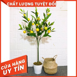 Cây giả decor trang trí - Cây chanh giả
