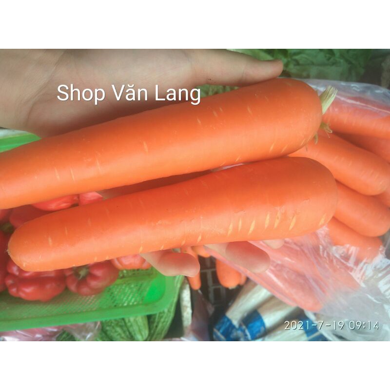 Cà rốt tươi ngon ngọt loại 1 túi 500g - ship Hà Nội