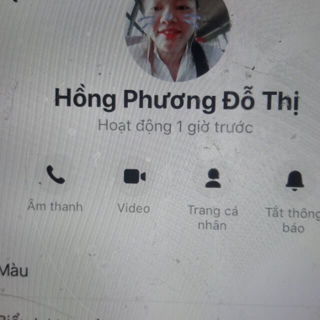 hong phuong do thi