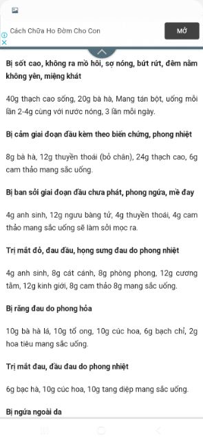 Cây bạc hà( 3 cây)