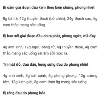 Cây bạc hà( 3 cây)