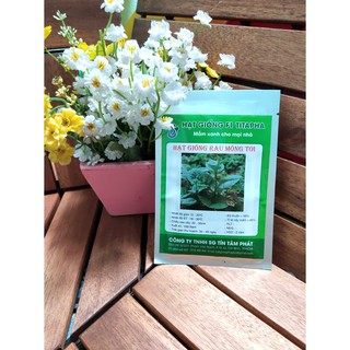 Hạt giống rau mùng tơi nảy mầm cực chuẩn