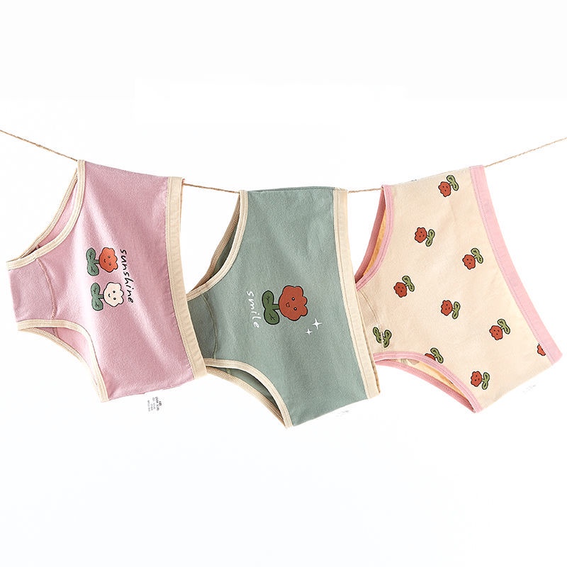Set 3 Quần Lót 100% Cotton Dễ Thương Cho Bé Gái 3-11 Tuổi