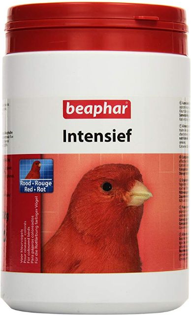 10 gam bột cantax lên màu cho yến hót, chào mào...