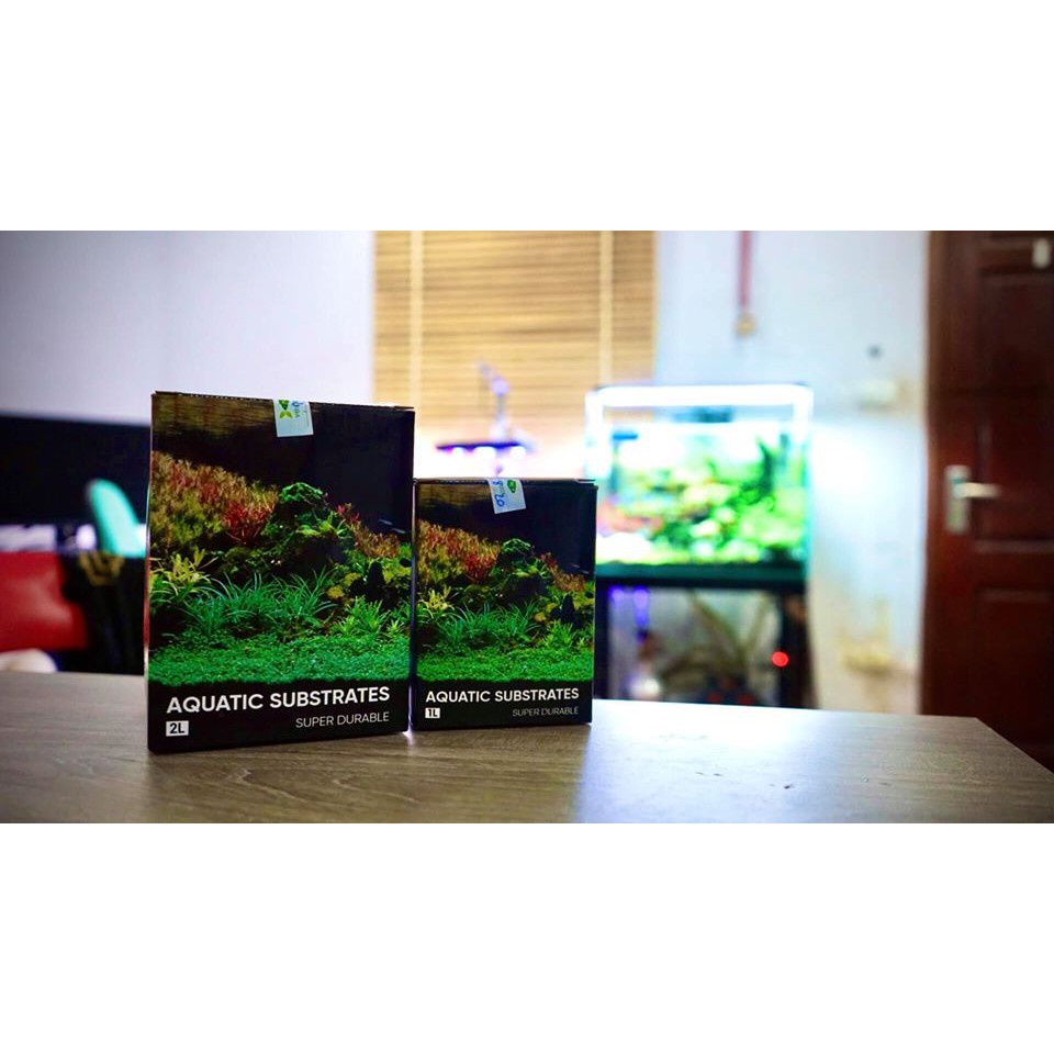 Cốt nền Vũ Aqua