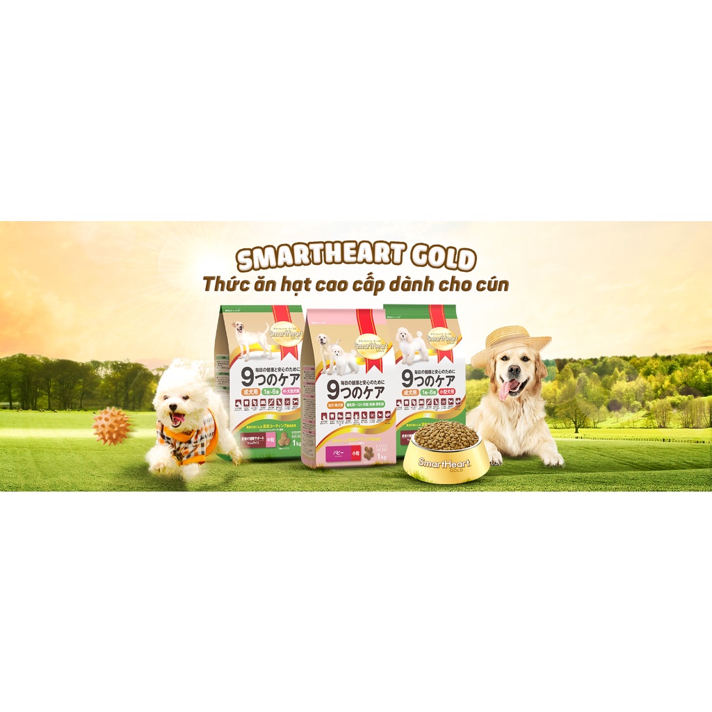 Thức Ăn Hạt Khô Smartheart Gold Small 1kg (mang thai, puppy, adult)