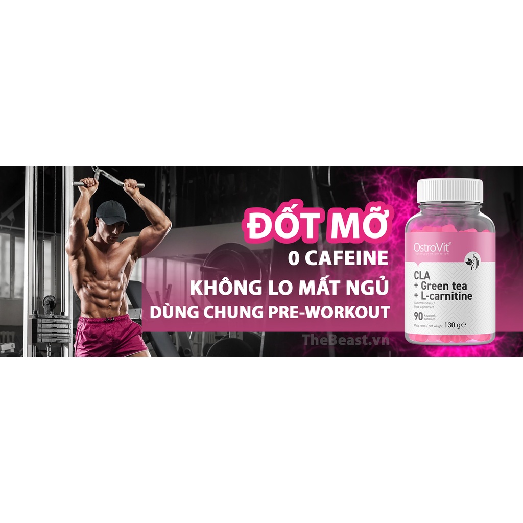 Ostrovit L Carnitine Cla Green Tea Hỗ Trợ Giảm Mỡ Tự Nhiên Đốt Mỡ An Toàn (90 Viên) - Từ Ba Lan