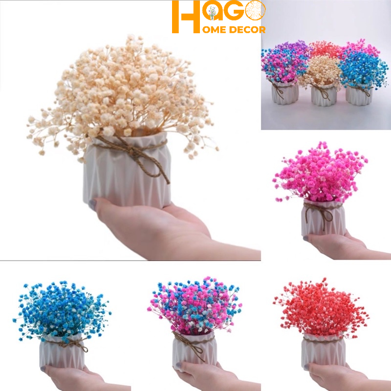 Lọ hoa mini để bàn cao 15cm cắm sẵn hoa baby khô nhiều màu trang trí kệ tủ, giá sách xinh xắn