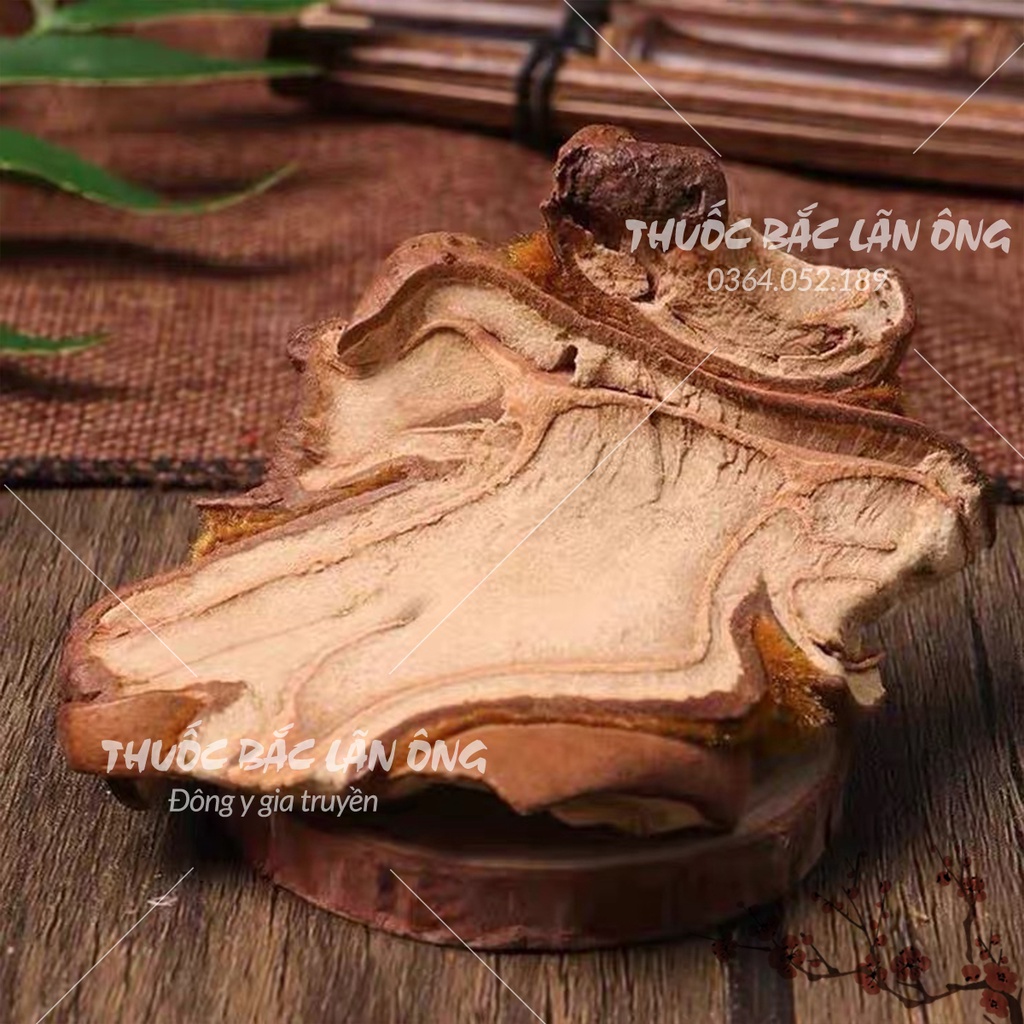 Cẩu tích chưa chế 100g (Cây lông culi giảm tiểu đêm, mạnh gân cốt)