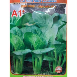 Hạt Giống Cải Ngọt Cọng Xanh gói 20gram