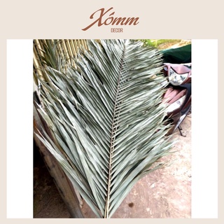 Lá mây cắm hoa , trang trí decor
