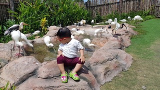 Áo sơ mi trắng cho bé 1-7 tuổi