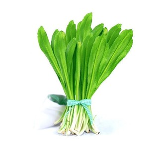 5gr - HẠT GIỐNG RAU MÙI TÀU(NGÒ GAI)