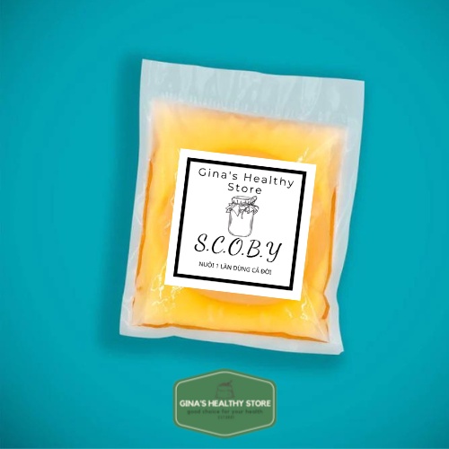 Scoby, Kombucha  Con Giống Kombucha Combo 4 Món  Dành Cho Người Mới