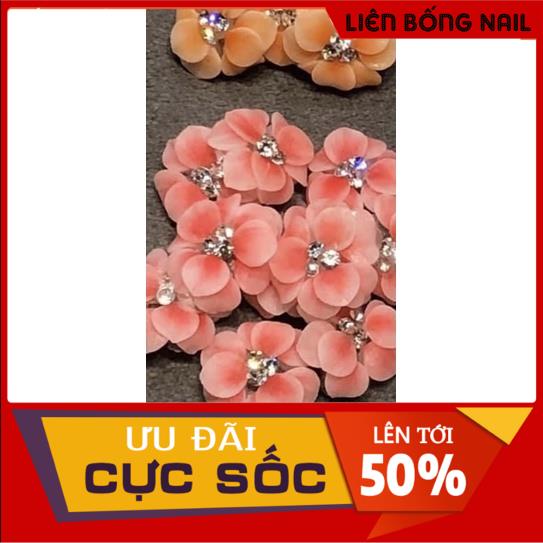Hoa bột nail chân mẫu mới