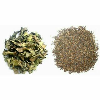 Sỉ toàn quốc kombo 1kg lá vối + 1kg nụ vối