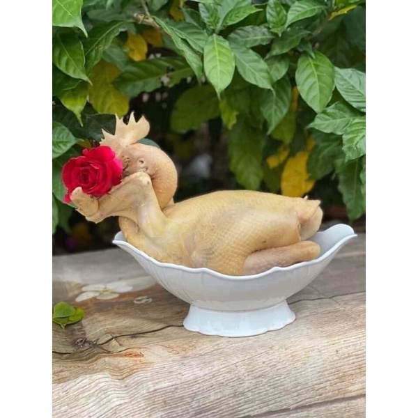 Bát thuyền đựng gà gốm sứ