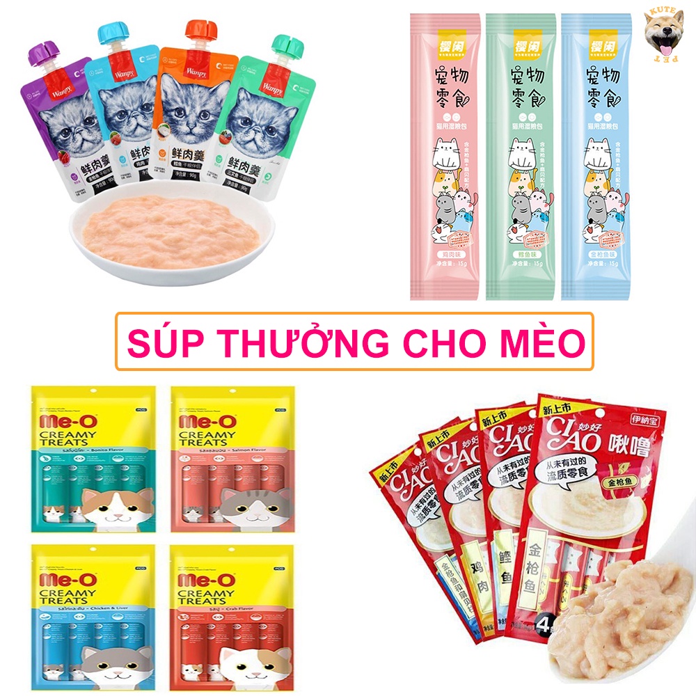 Súp thường cho mèo