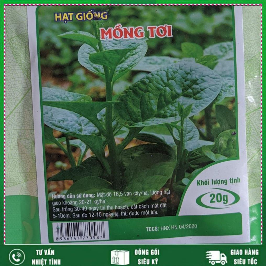 Hạt giống Mồng Tơi 20g. Rất dễ chăm sóc Nhất Việt