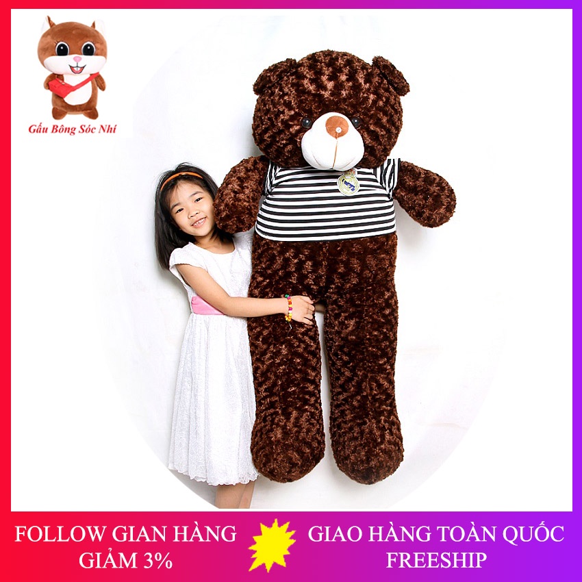 Gấu Bông Teddy Size 1m4 Siêu To  FREESHIP  Gấu Bông Sóc Nhí