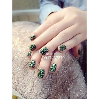 sơn nứt 5 màu