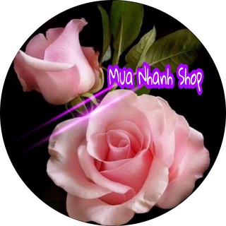 ĐỒ DÙNG CHO BÉ - XÌ TIN SHOP+