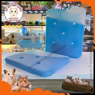 Gel làm mát cho hamster lớn- gel tản nhiệt- tấm tản nhiệt . Xứ Sở Thú Cưng- Hamster Vĩnh Phúc