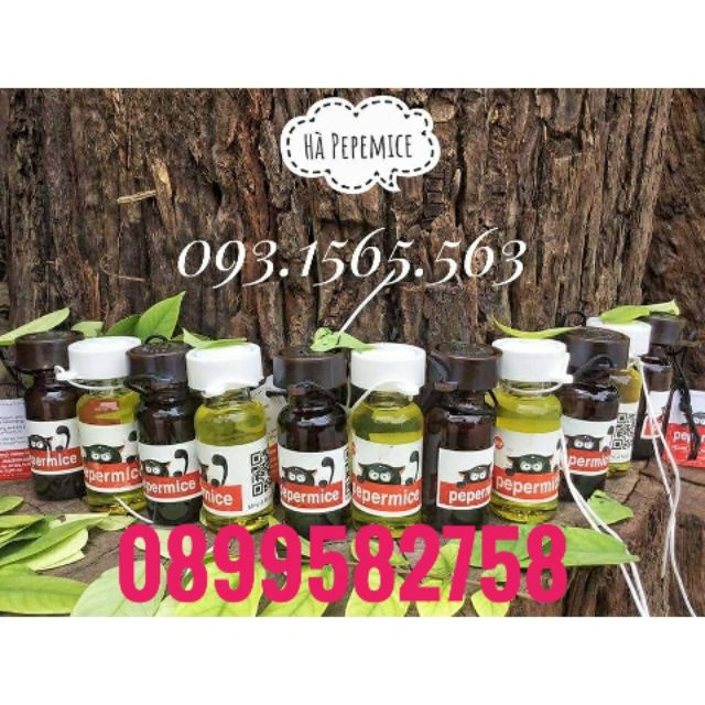 Tinh dầu chống chuột ôtô