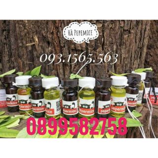 Tinh dầu chống chuột ôtô