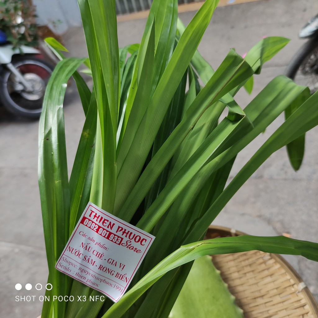 Sâm mía lau (thảo mộc tươi) các nguyên liệu tự chọn đồng giá 5k