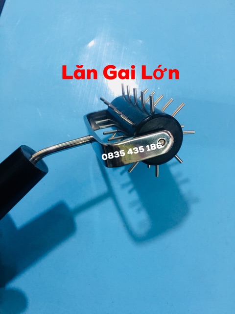 LĂN GAI ĐƠN LỚN - Dung Cụ Diện Chẩn