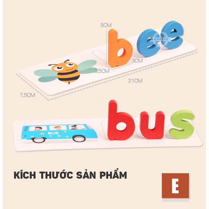 Spelling game Cam - Trò chơi đánh vần ghép từ vựng tiếng Anh
