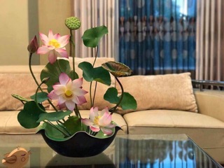 Bát sen thả hoa đủ size kèm chân đế