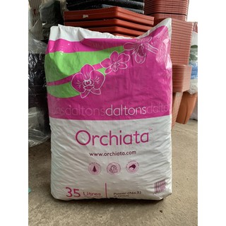 VỎ THÔNG ORCHIATA SIZE 6mm - 9mm