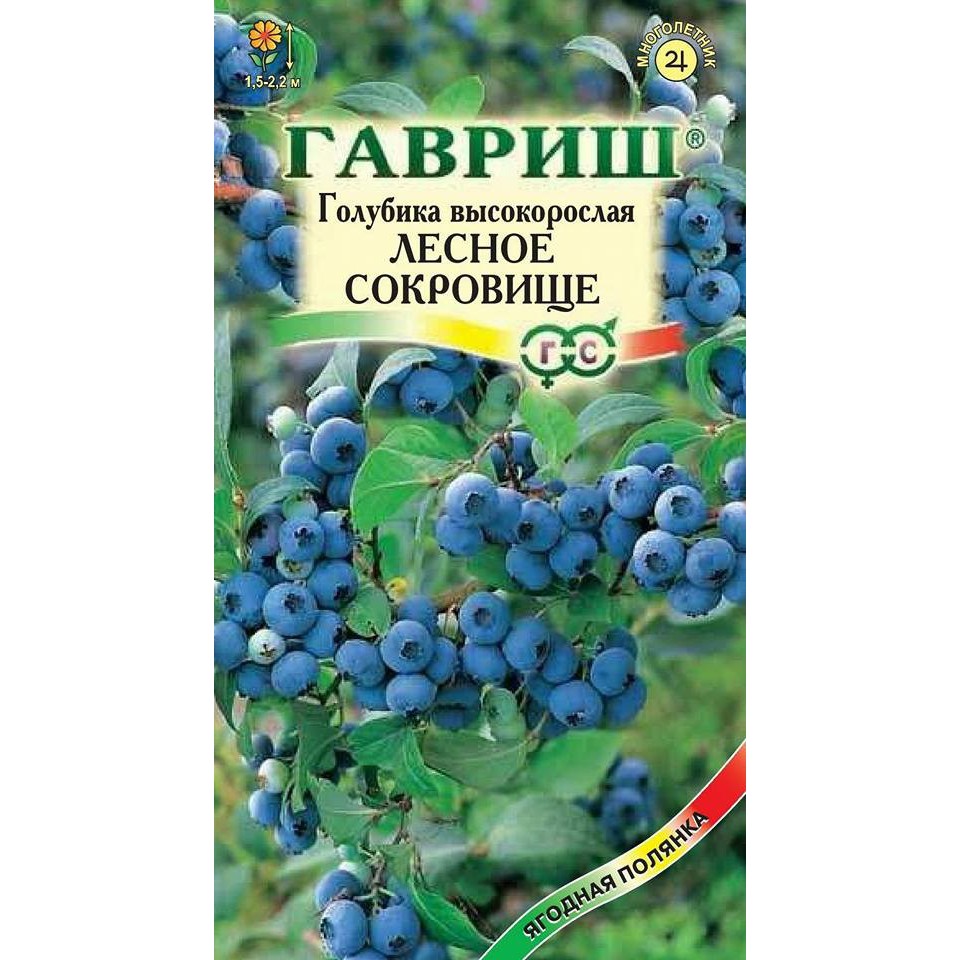 Hạt giống cây ăn trái việt quất Xanh 30 hạt - tặng kèm 3 viên nén ươm hạt - HGT