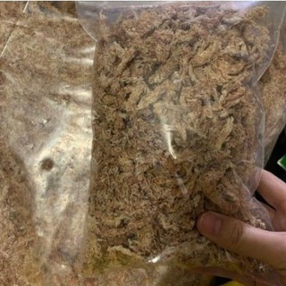 rêu sâu, DỚN MỀM TRỒNG LAN CHILE ( RÊU SÂU ) 50gram