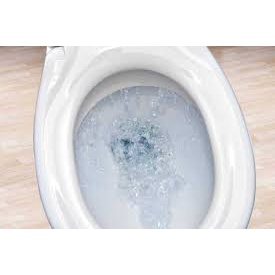 Nước Tẩy Bồn Cầu Vim Diệt Khuẩn 450ml, Nước Tẩy Rửa Bồn Cầu Đa Năng Siêu Sạch