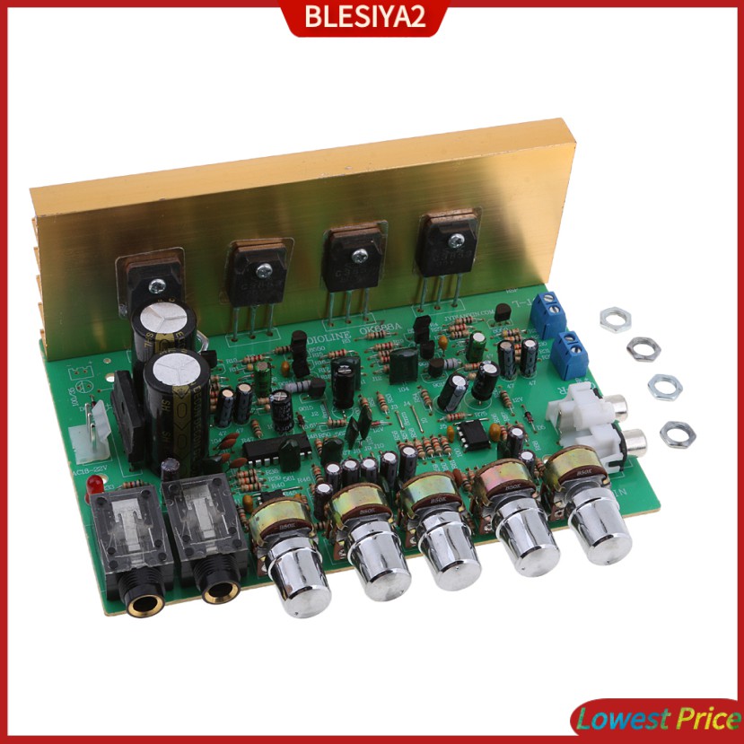 Mô Đun Khuếch Đại Âm Thanh 100W + 100W Kênh Kép Chất Lượng Cao Blesiya2