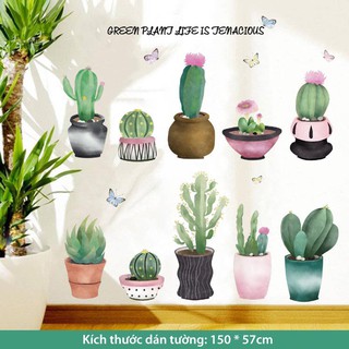 Giấy và decal dán tường trang trí phòng ngủ phòng khách kiểu 3D Hàn Quốc (Xương Rồng Mập Ú)