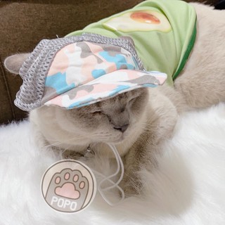 Mũ lưỡi trai Nón kết cho thú cưng chó mèo